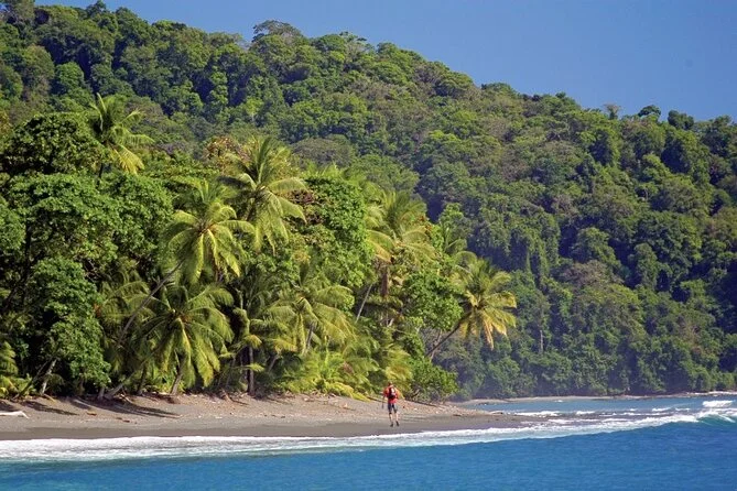 Randonnée de La Sirena à Los Paros, Costa Rica
