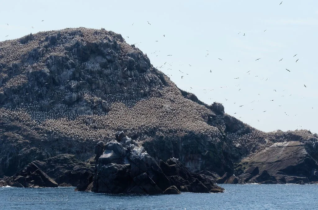 Île Rouzic, France