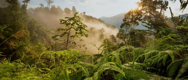 Chaîne Annamitique, Laos, Laos, Laos