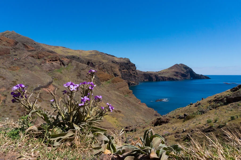 Ponta do Furado, Portugal, Madère