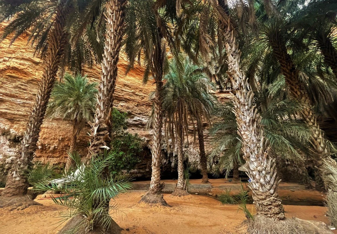 Tergit, Mauritanie