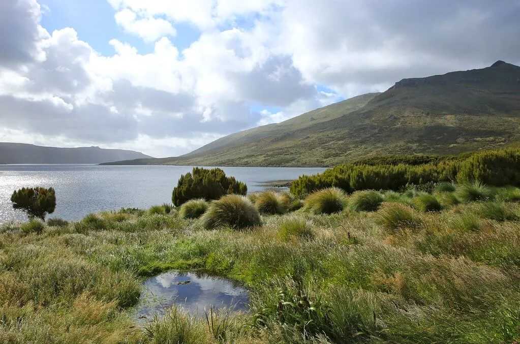 Îles sub-antarctiques de Nouvelle-Zélande, Nouvelle-Zélande