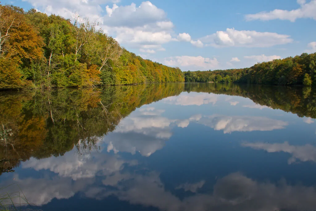 Forêt de Chantilly, France, France