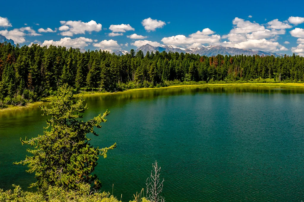 Emma Matilda Lake, États-Unis