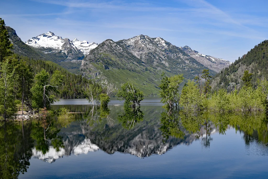 Forêt nationale de Bitterroot, États-Unis, États-Unis