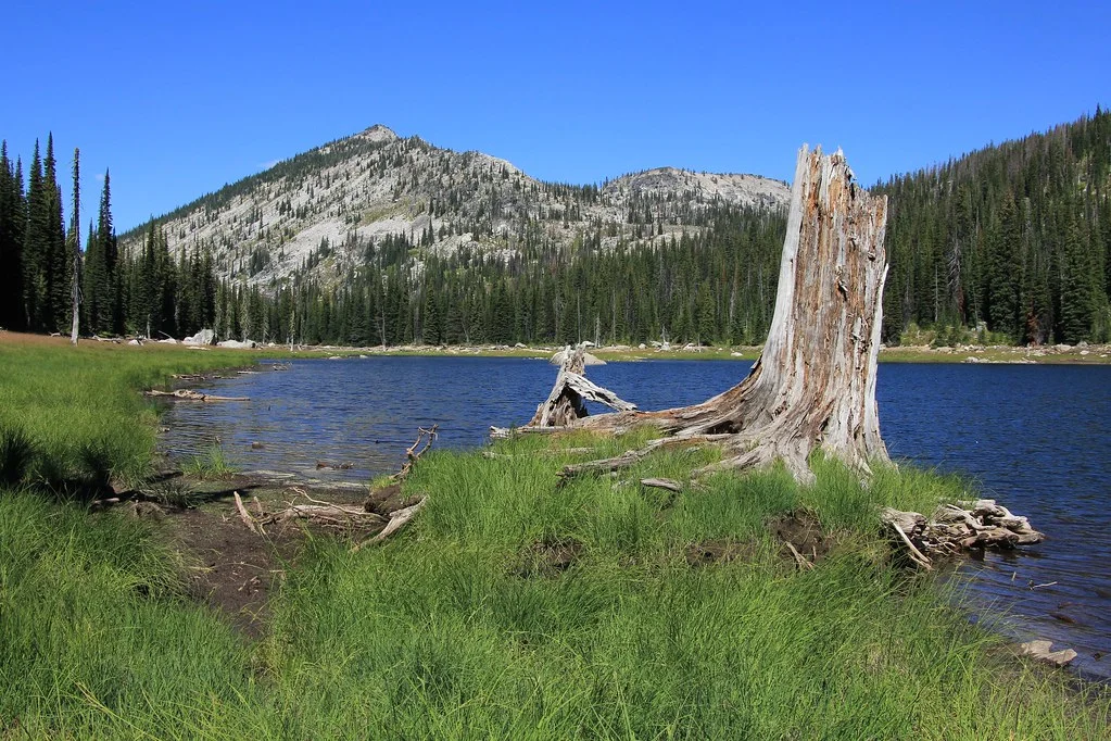 Forêt nationale de Bitterroot, États-Unis, États-Unis