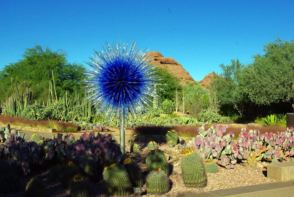 Jardin botanique du désert, États-Unis