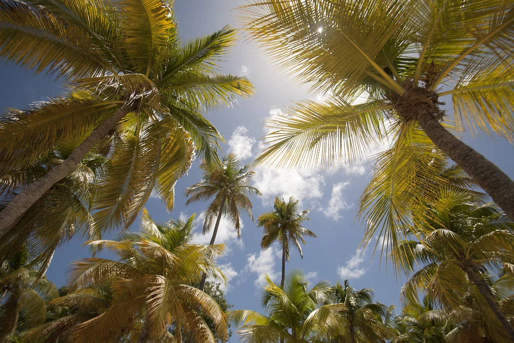 Plage de la Caravelle, Guadeloupe