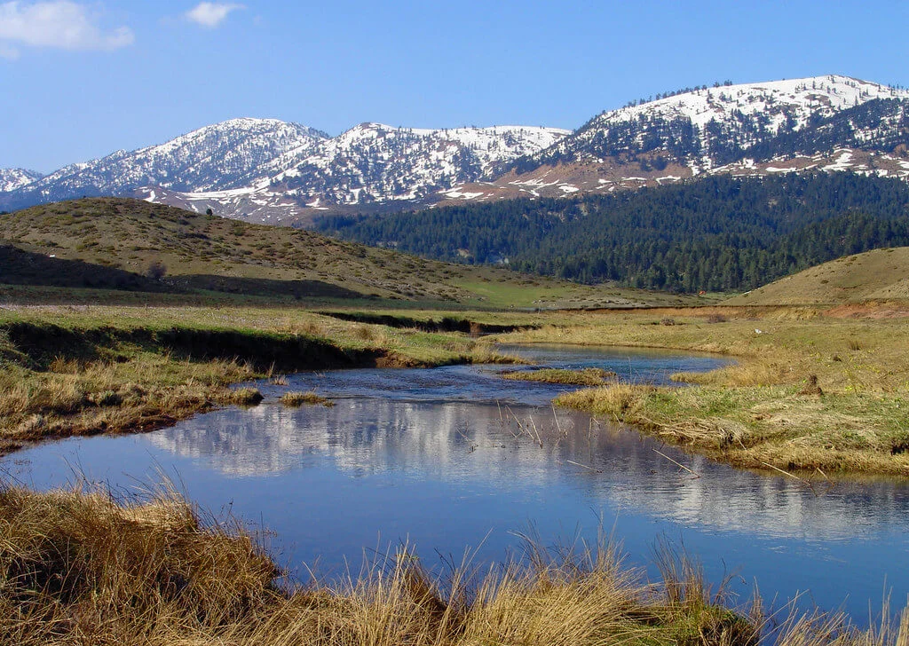 Vjosa, Grèce, Albanie, Albanie