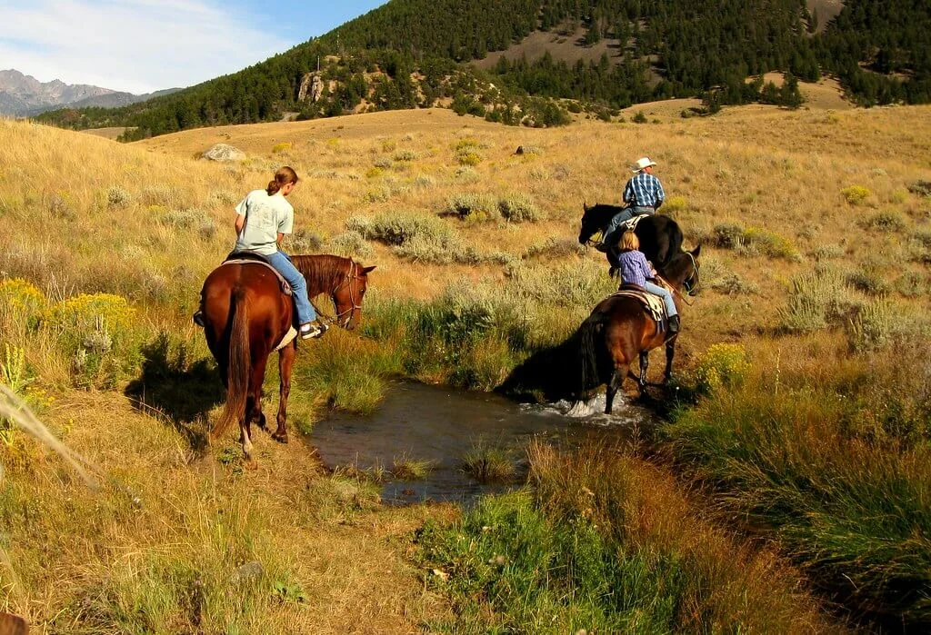 Paradise Valley (Montana), États-Unis