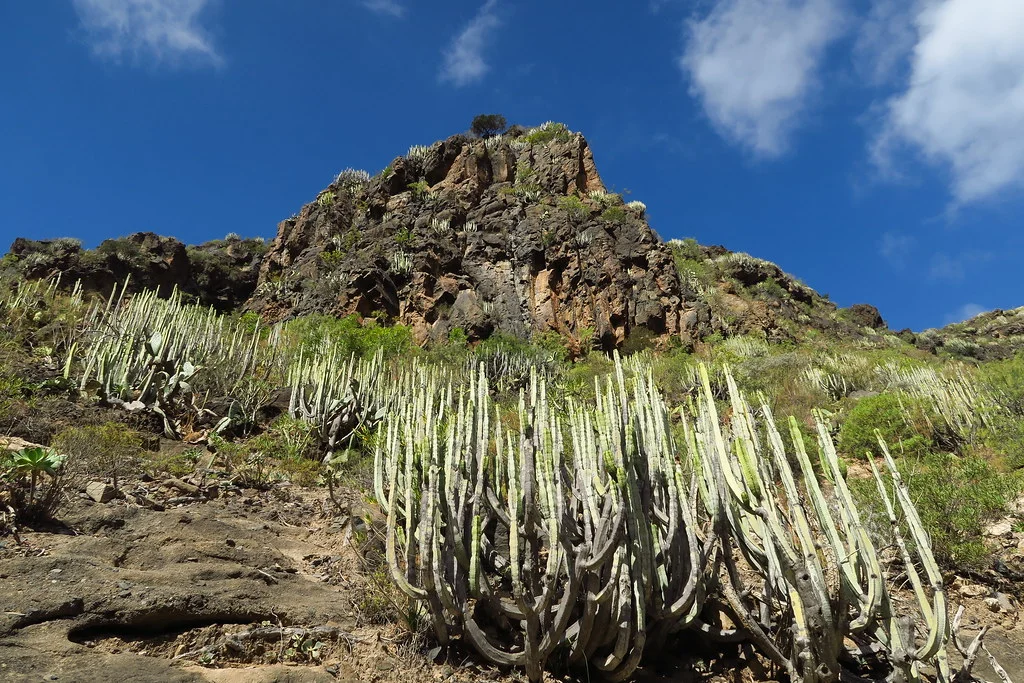 Barranco del Infierno, Espagne, Canaries