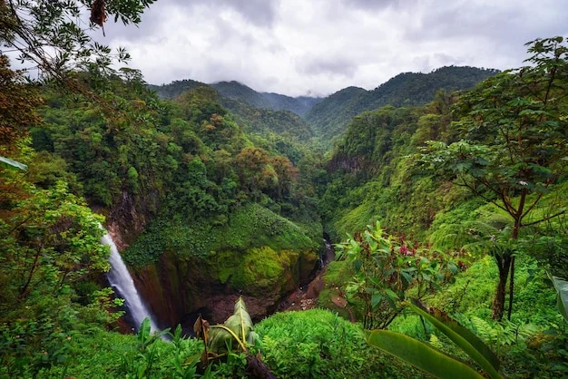 Catarata del Toro, Costa Rica