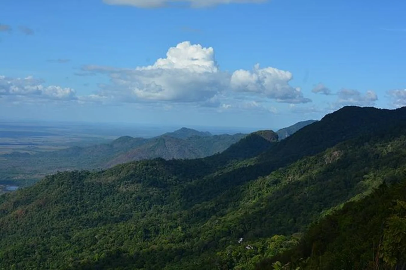Kanuku Mountains, Guyana