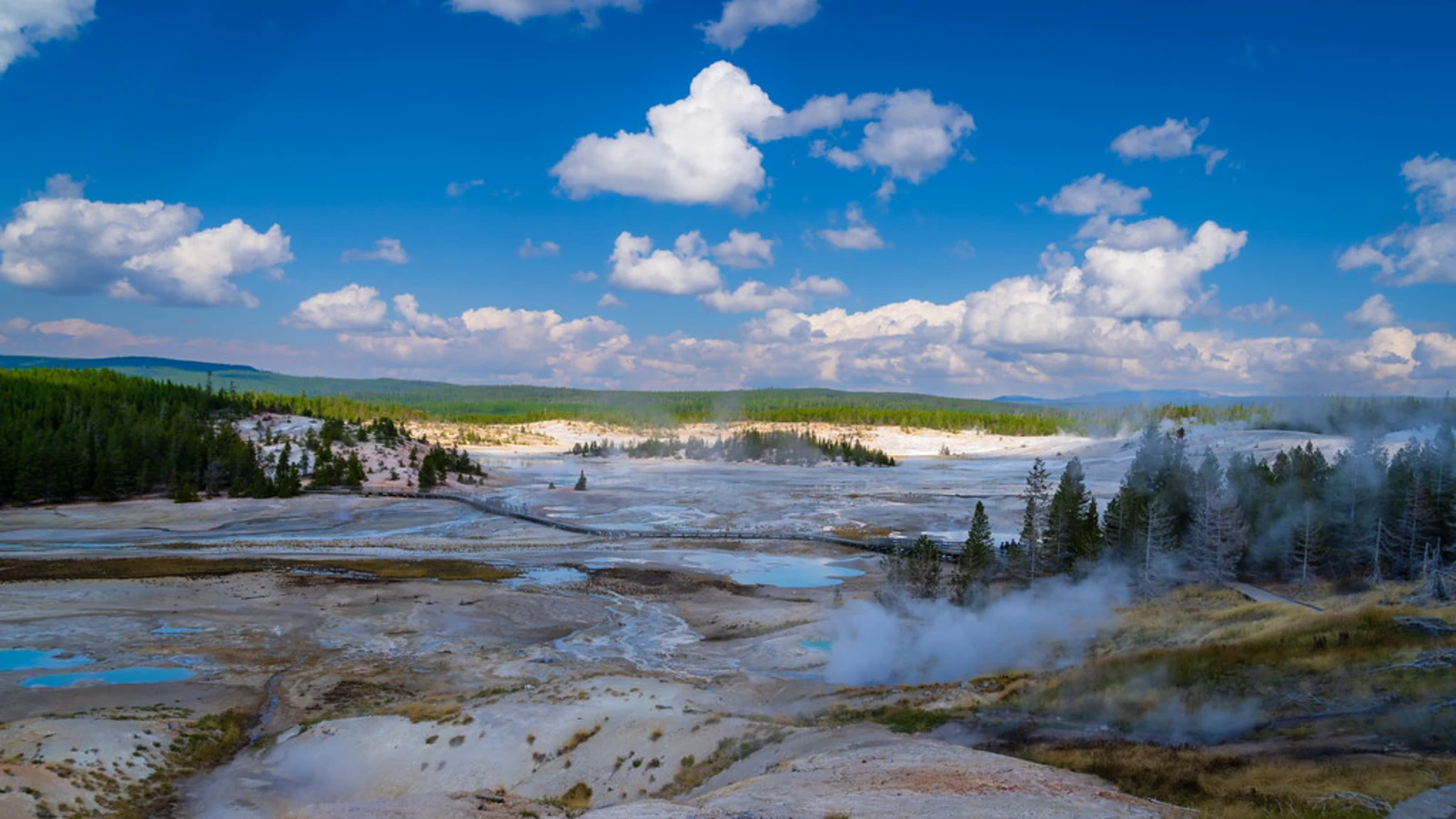 Norris Geyser Basin, États-Unis
