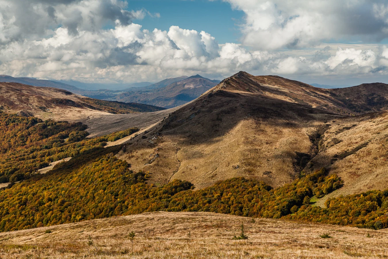Parc national de Bieszczady, Pologne