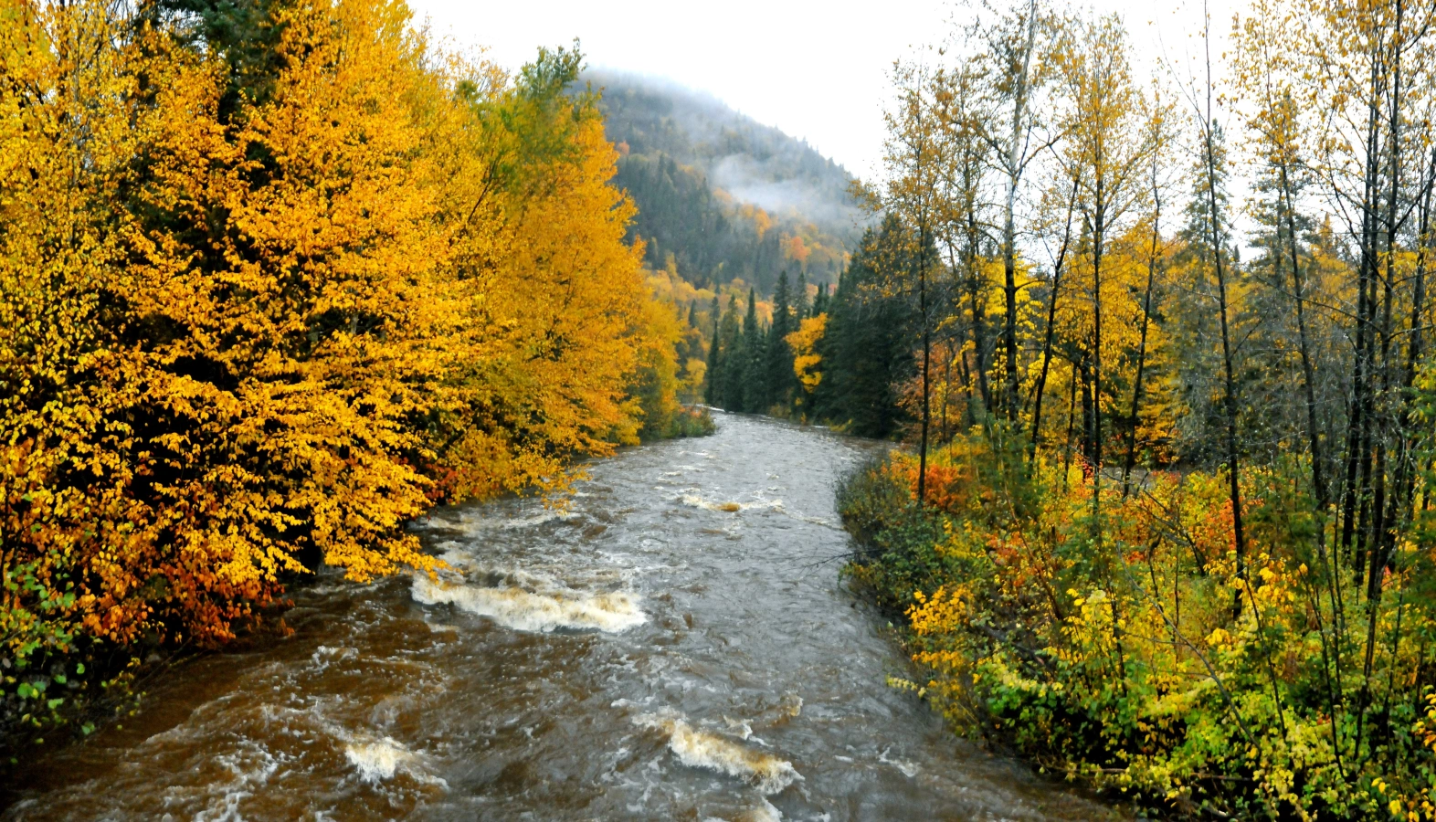 Visiter Rivière à l'Épaule - Préparez son voyage au Canada