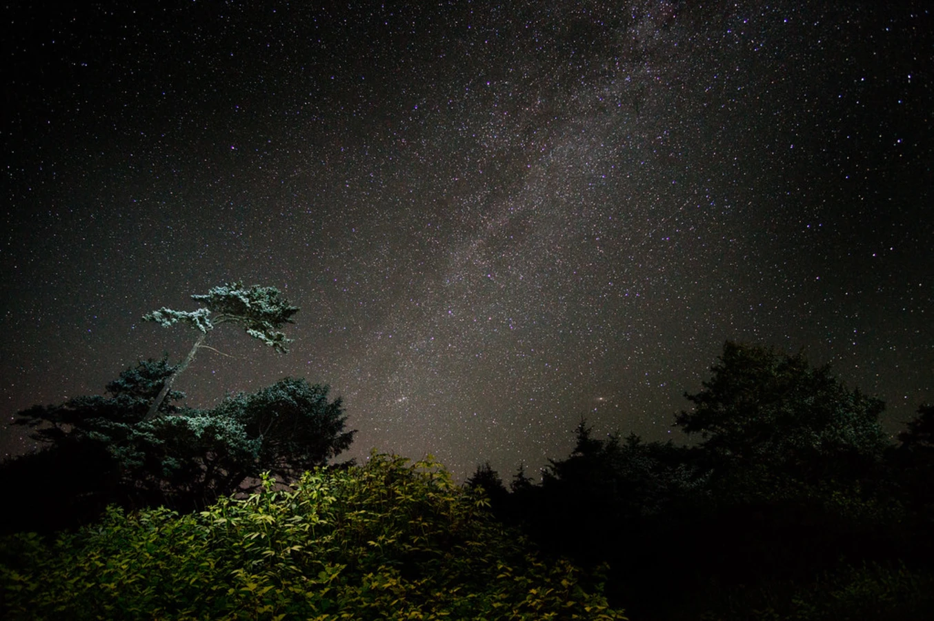 Kalaloch Beach, États-Unis