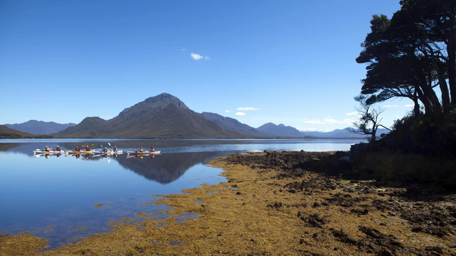 Bathurst Harbour, Australie, Tasmanie