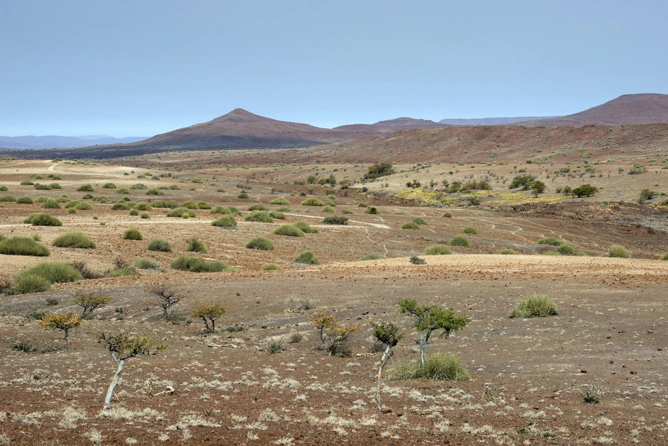 Concession de Palmwag, Namibie