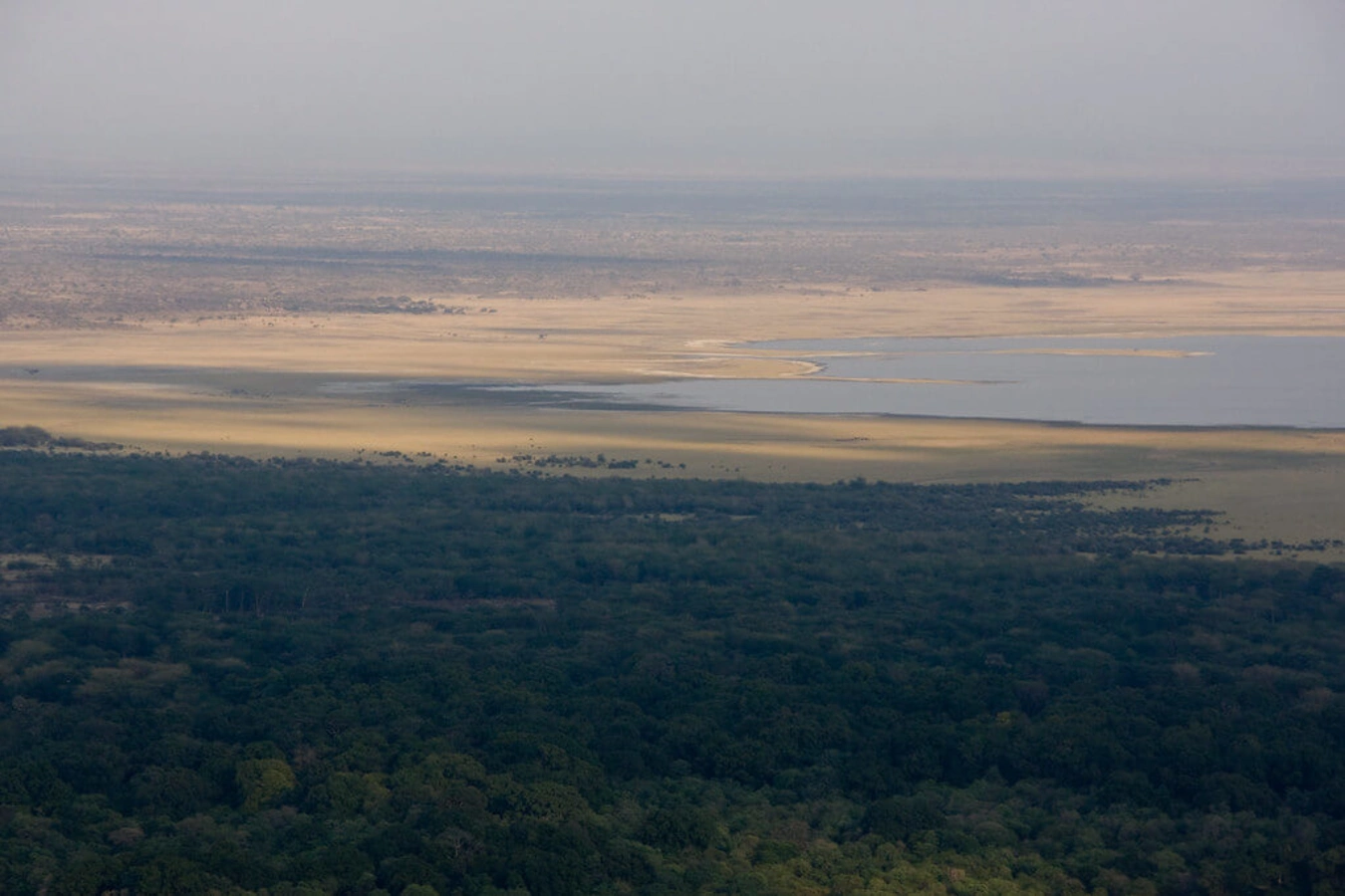 Lac Manyara, Tanzanie