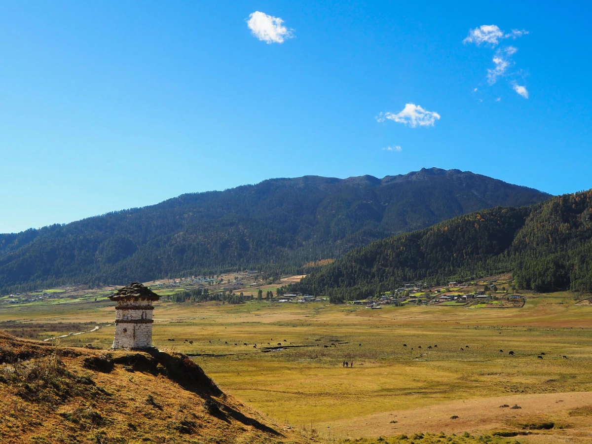 Vallée de Phobjikha, Bhoutan