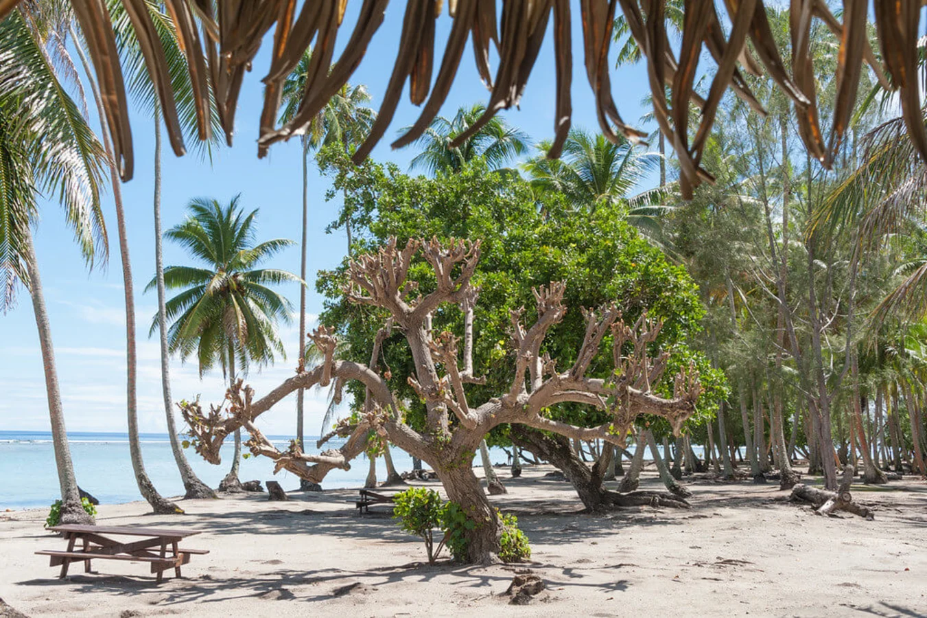 Raiatea, Polynésie française