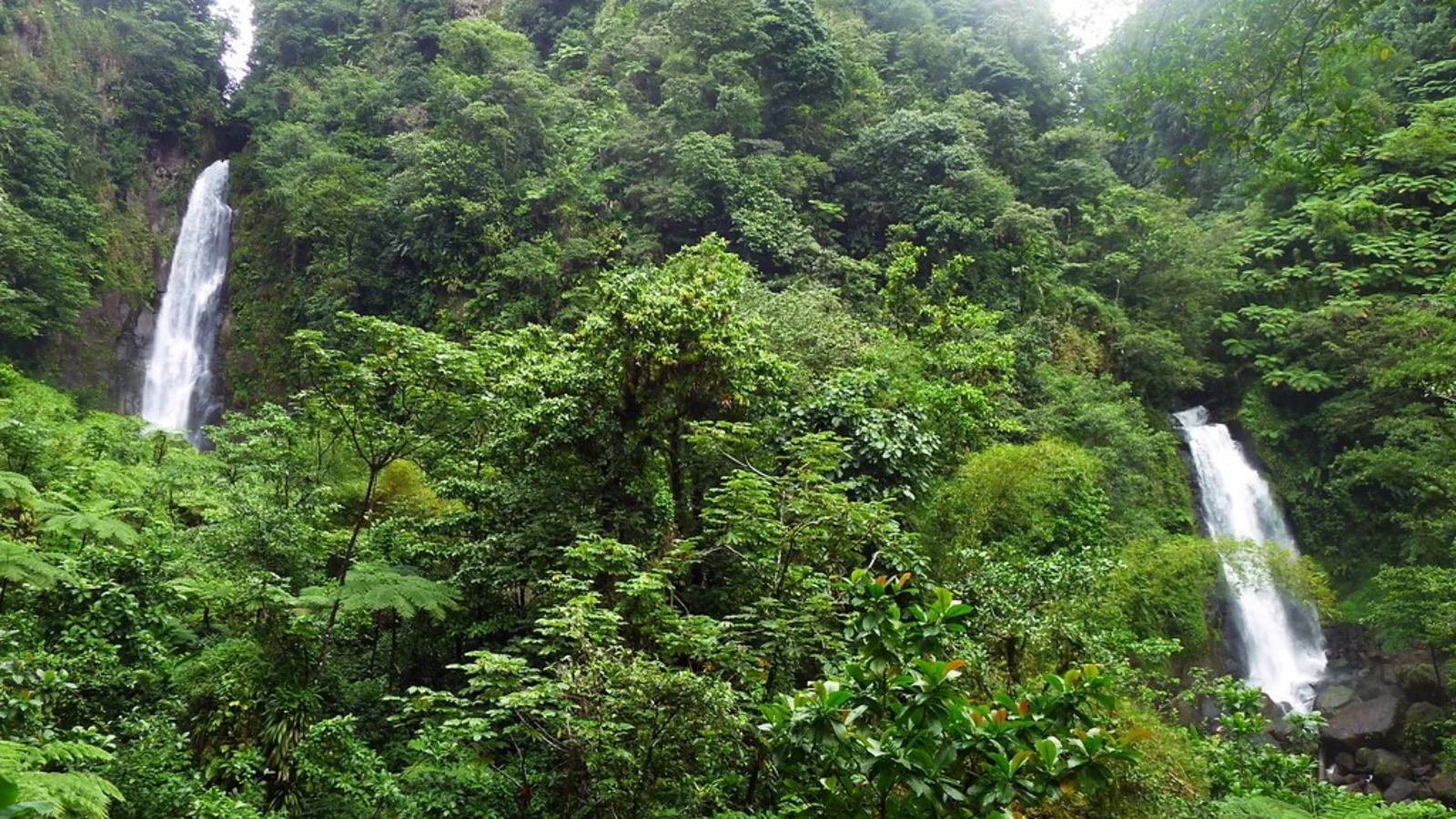 Parc national de Morne Trois Pitons, Dominique