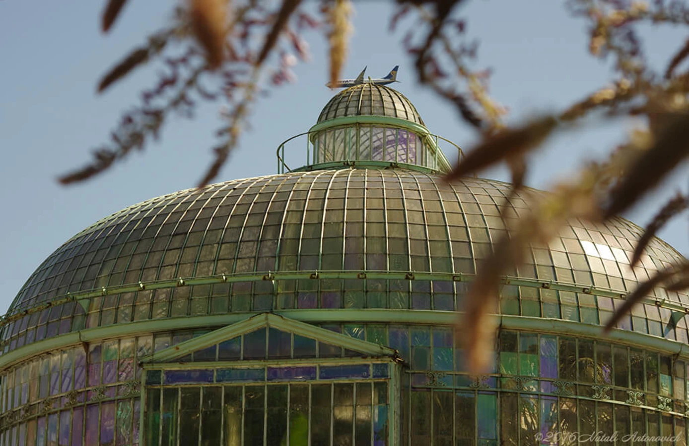 Serres Royales de Laeken, Belgique