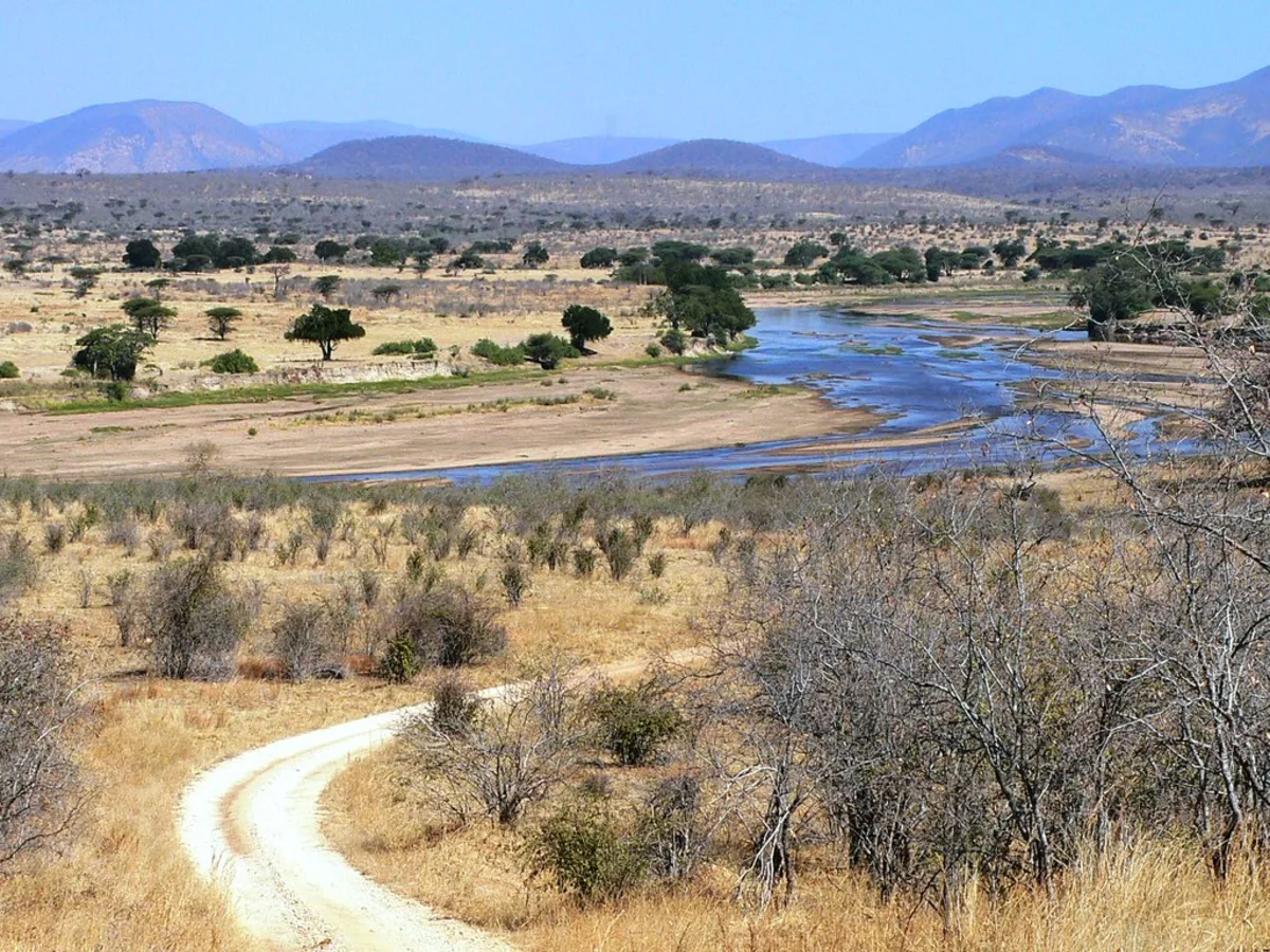 Ruaha, Tanzanie, Tanzanie