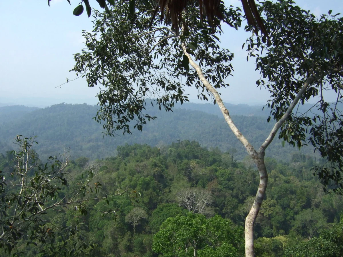 The Gibbon Experience, Laos