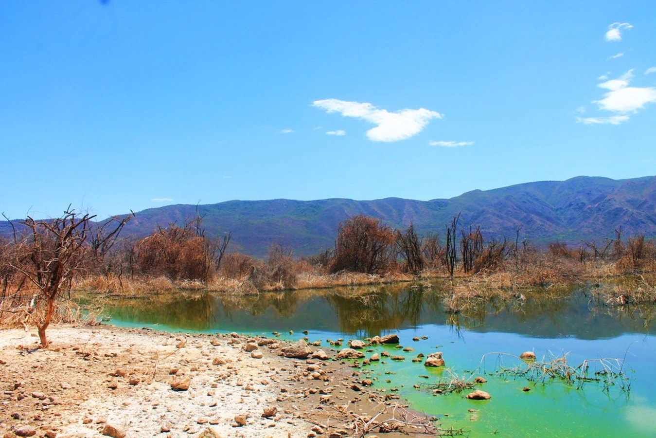 Lac Bogoria, Kenya