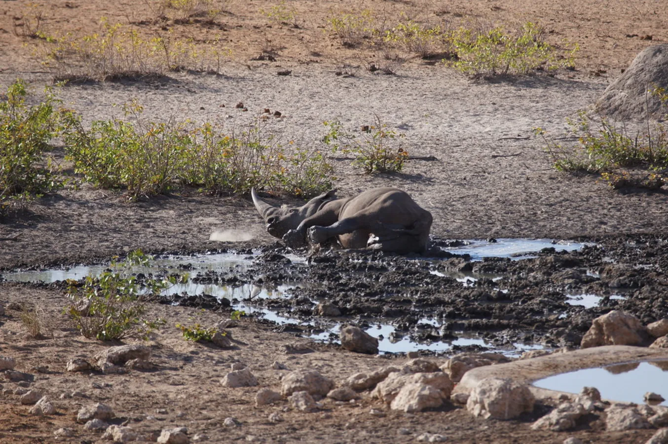 Olifantsrus Game Viewing Hide, Namibie