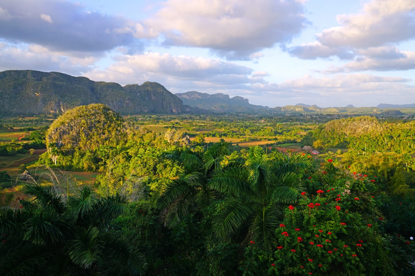 Vallée de Vinales, Cuba