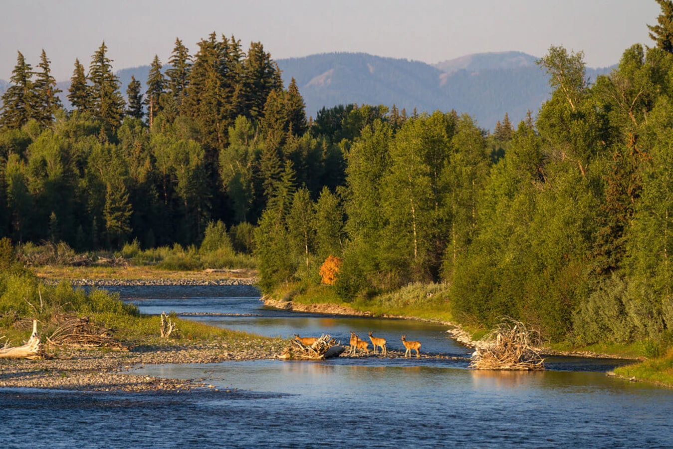 Snake River, États-Unis