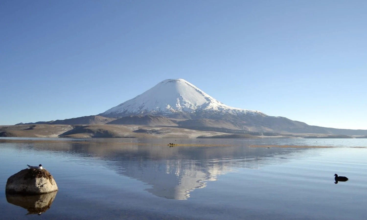 Lac Chungara, Chili