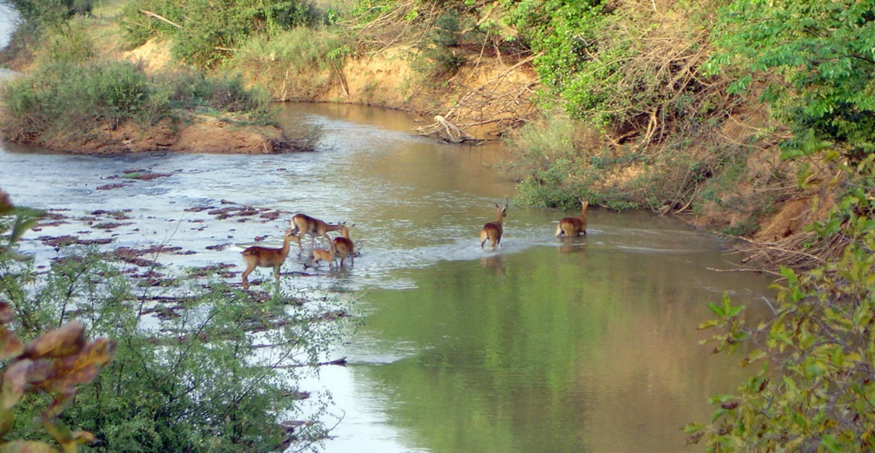 Réserve totale de faune d'Arly, Burkina Faso