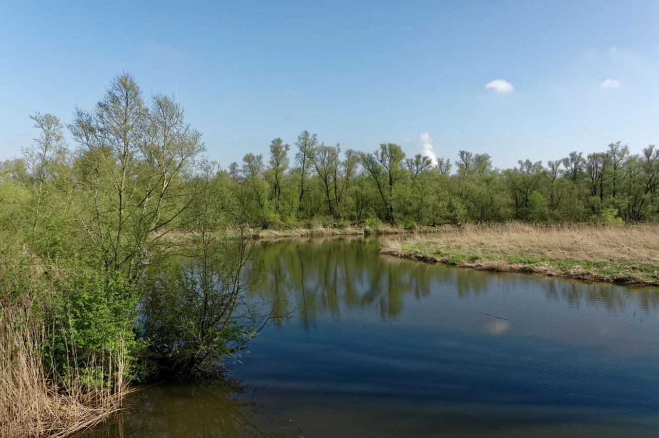 Parc national De Biesbosch, Pays-Bas, Pays-Bas