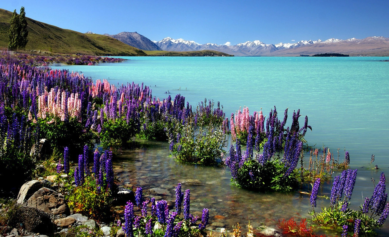 Lac Tekapo, Nouvelle-Zélande