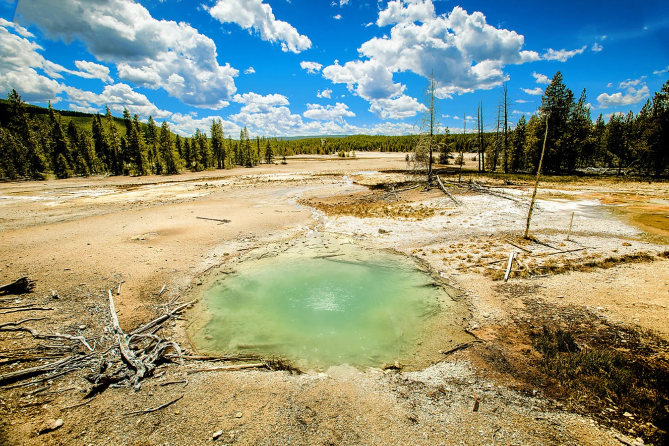 Norris Geyser Basin, États-Unis
