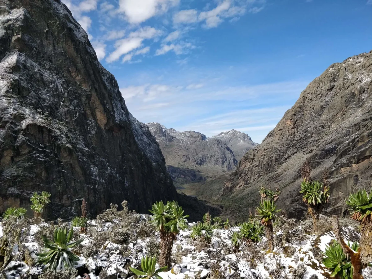 Monts Rwenzori, République démocratique du Congo, Ouganda