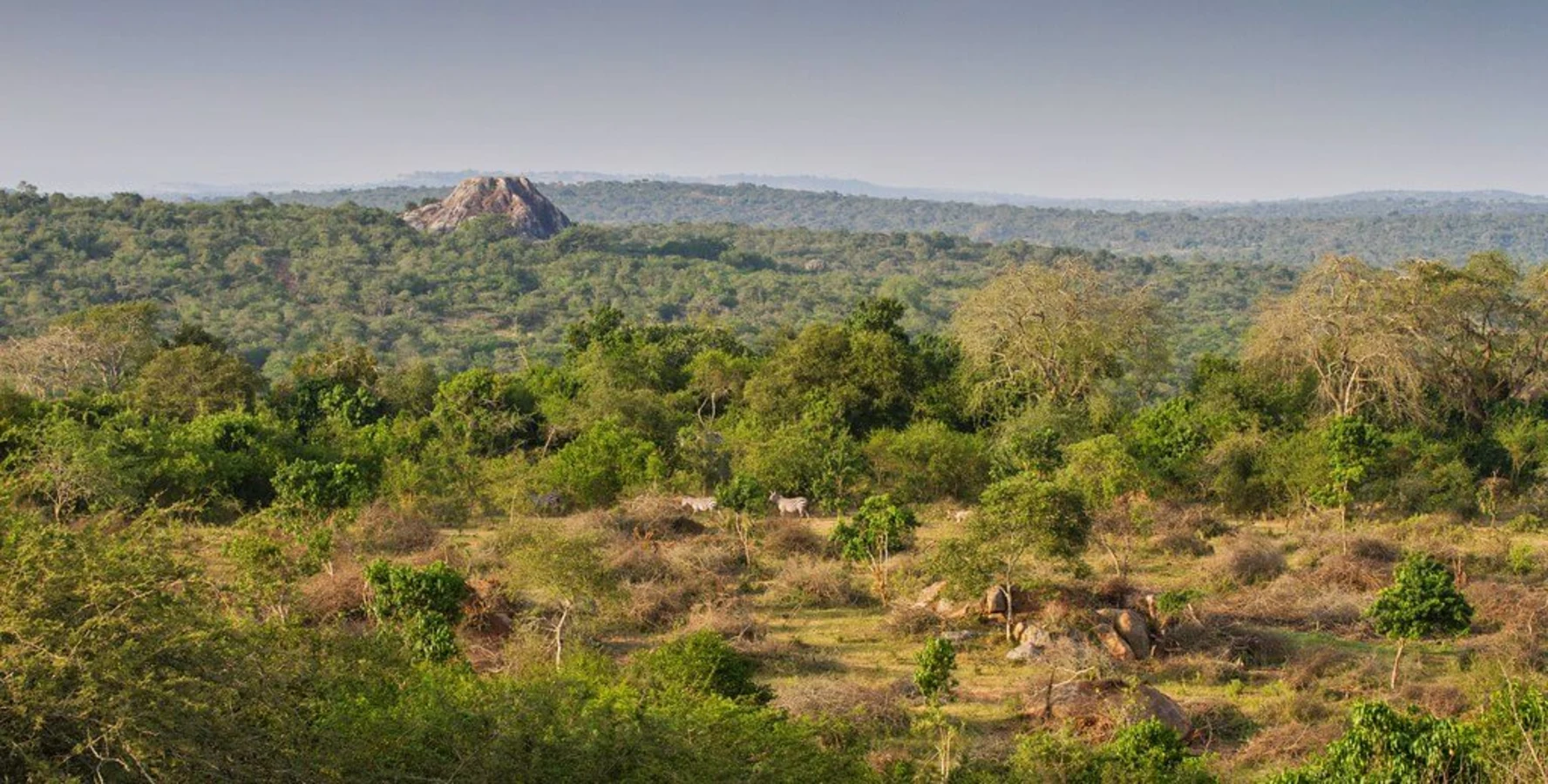 Parc national du lac Mburo, Ouganda