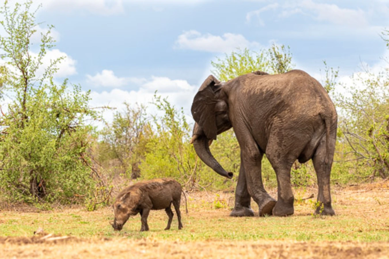 Parc national de Chizarira, Zimbabwe