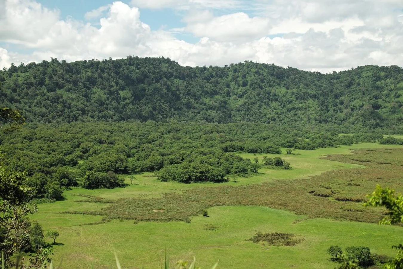 Parc national d'Arusha, Tanzanie