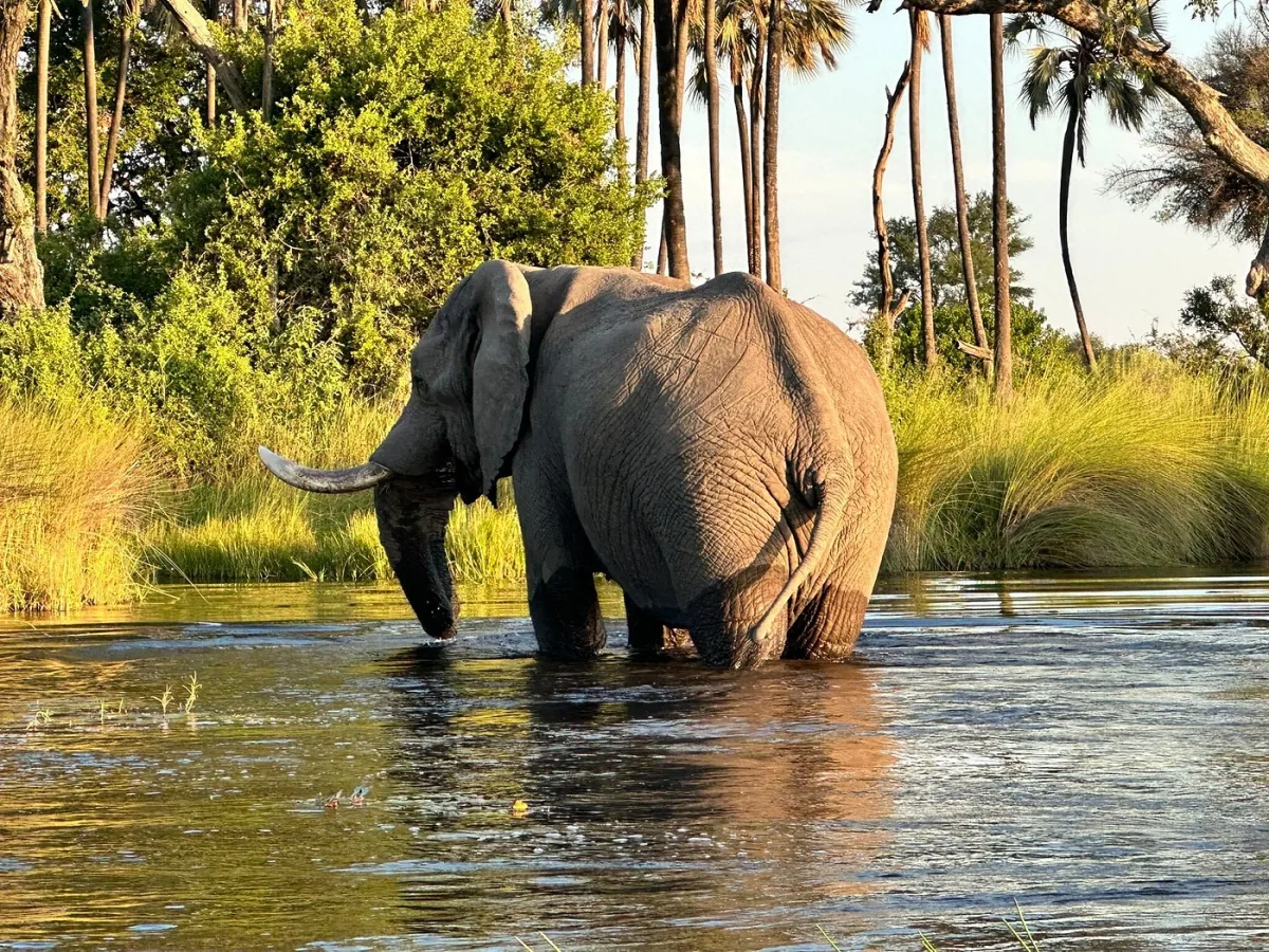Mboma Island, Botswana