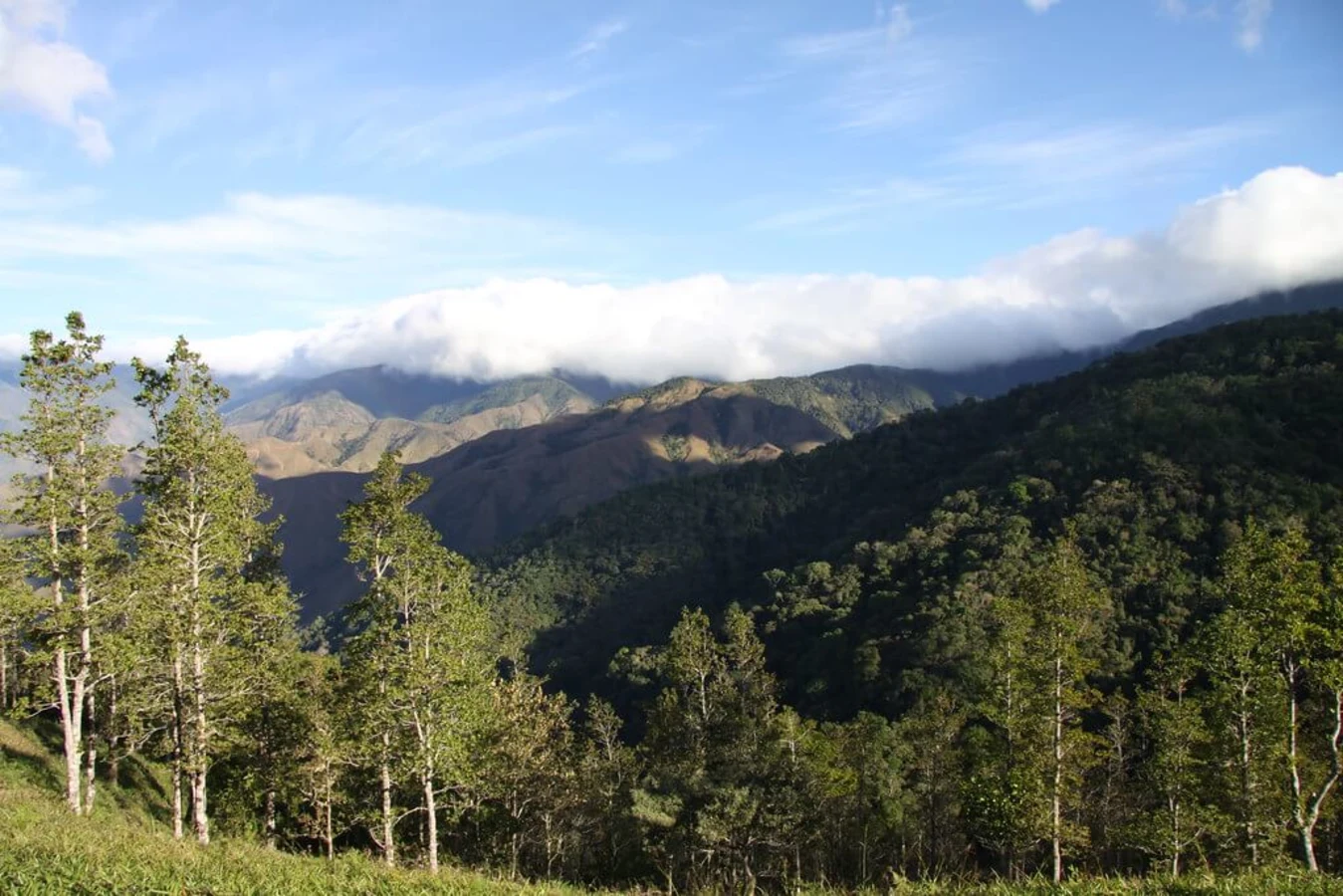 Parc international La Amistad, Panama, Costa Rica