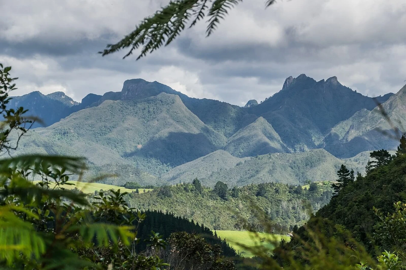 Péninsule de Coromandel, Nouvelle-Zélande
