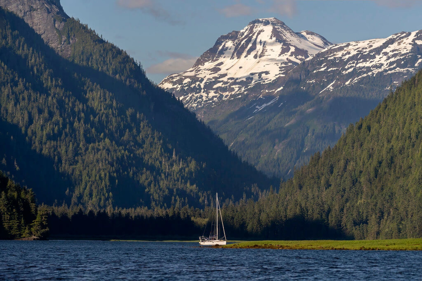 Forêt pluviale de Great Bear, Canada