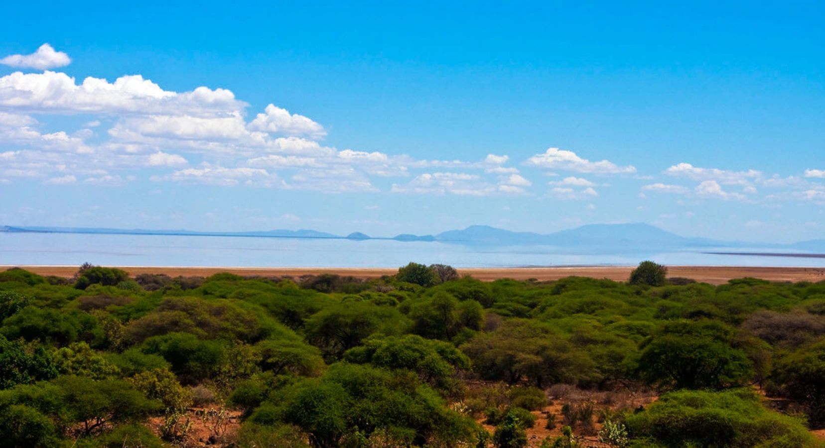 Lac Manyara, Tanzanie