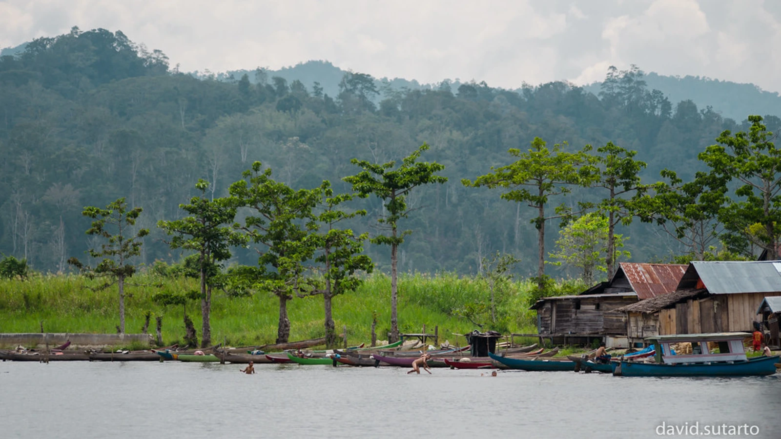Parc national de Lore Lindu, Indonésie