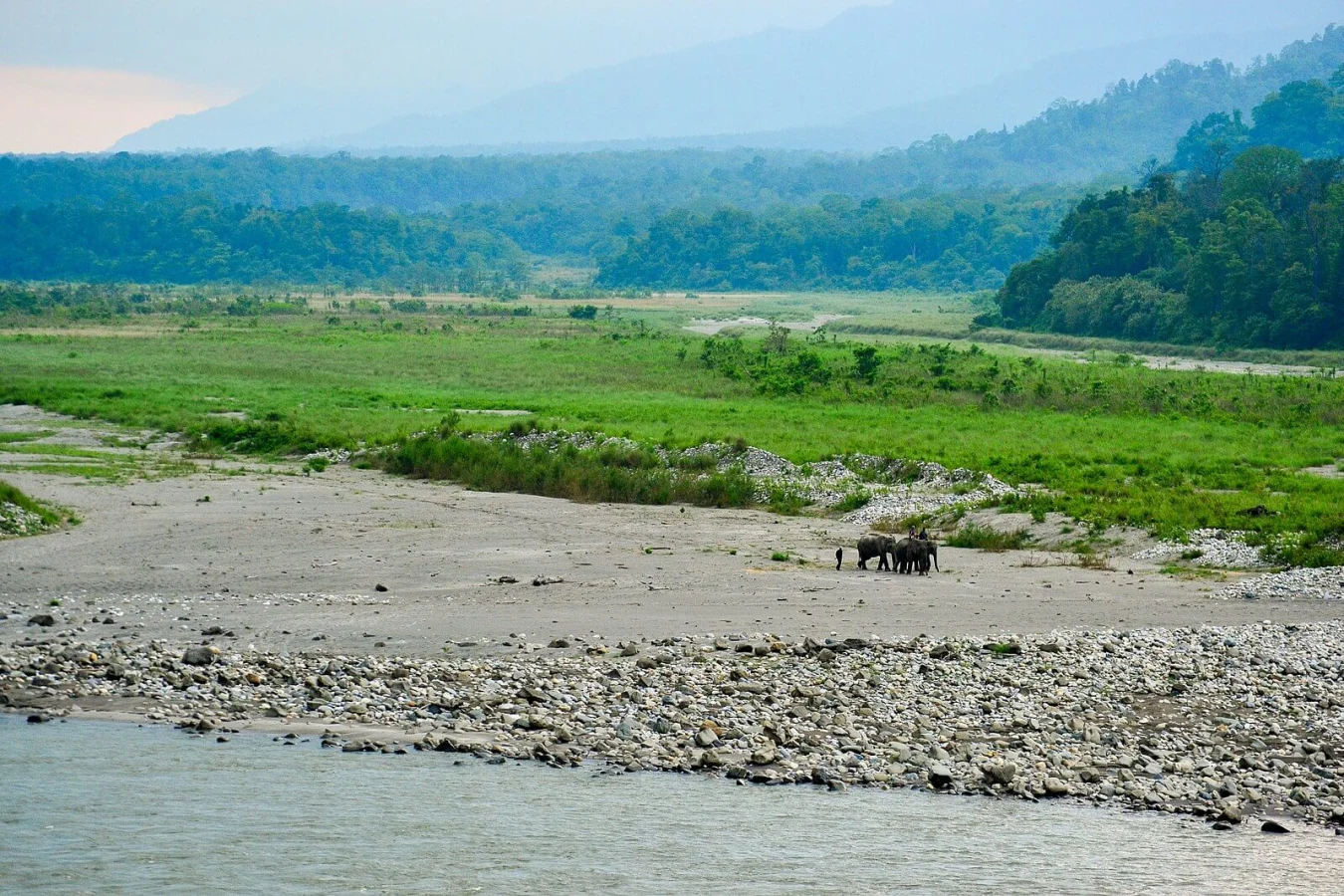 Parc national de Manas, Inde